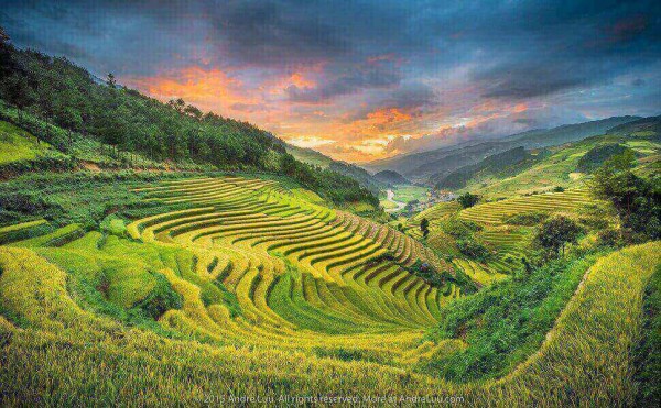Tour Du Lịch Mù Cang Chải – Tú Lệ - Bản Lướt - Đền Hùng 3 Ngày 2 Đêm